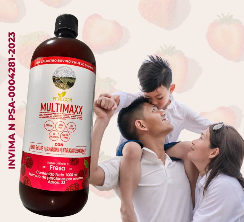 Multimaxx Fresa 1000ml