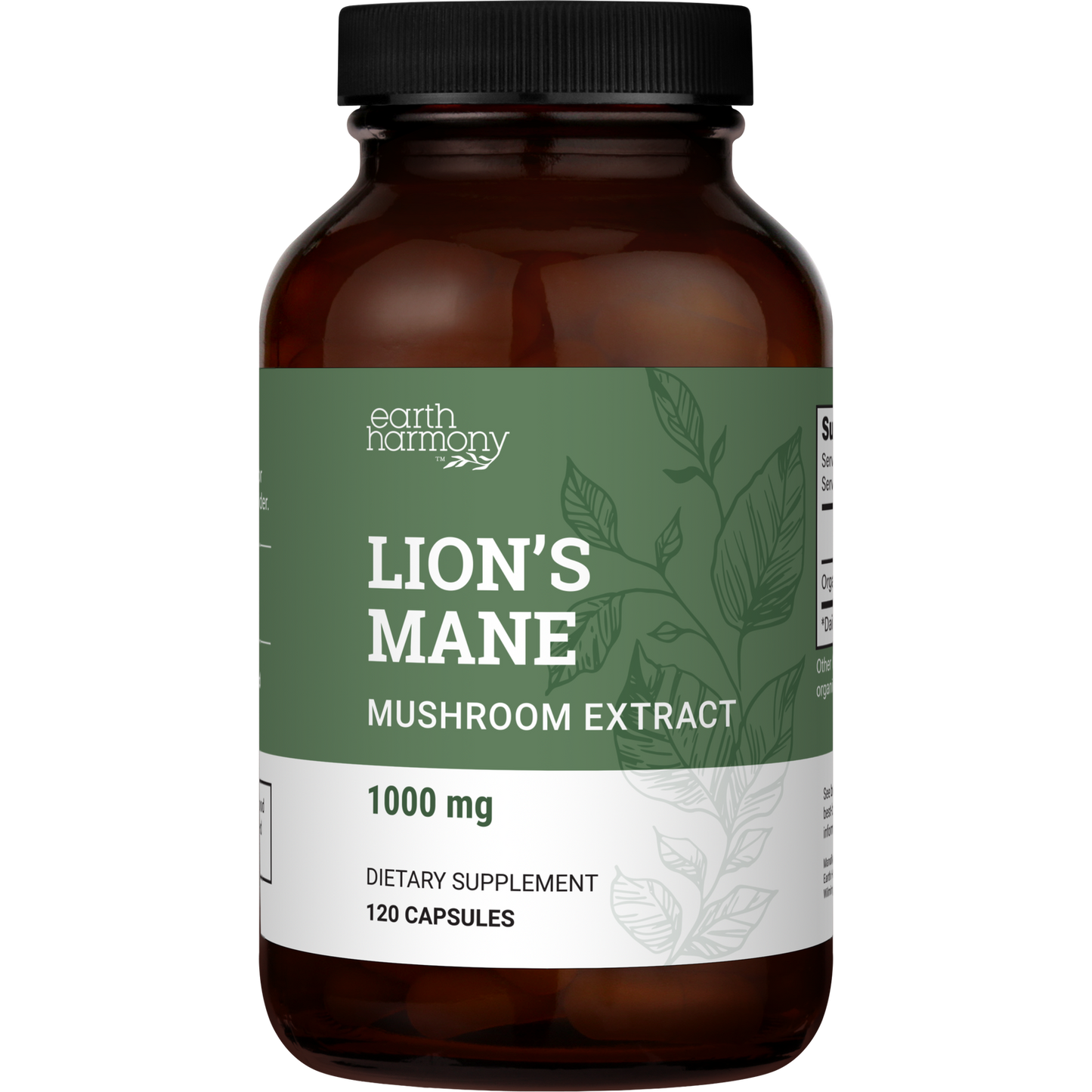 Organic Lion's Mane Mushroom Supplement (1000 mg) - 120 Capsules